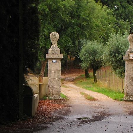 Quinta Do Cerquito Villa Ferreira do Zezere Bagian luar foto
