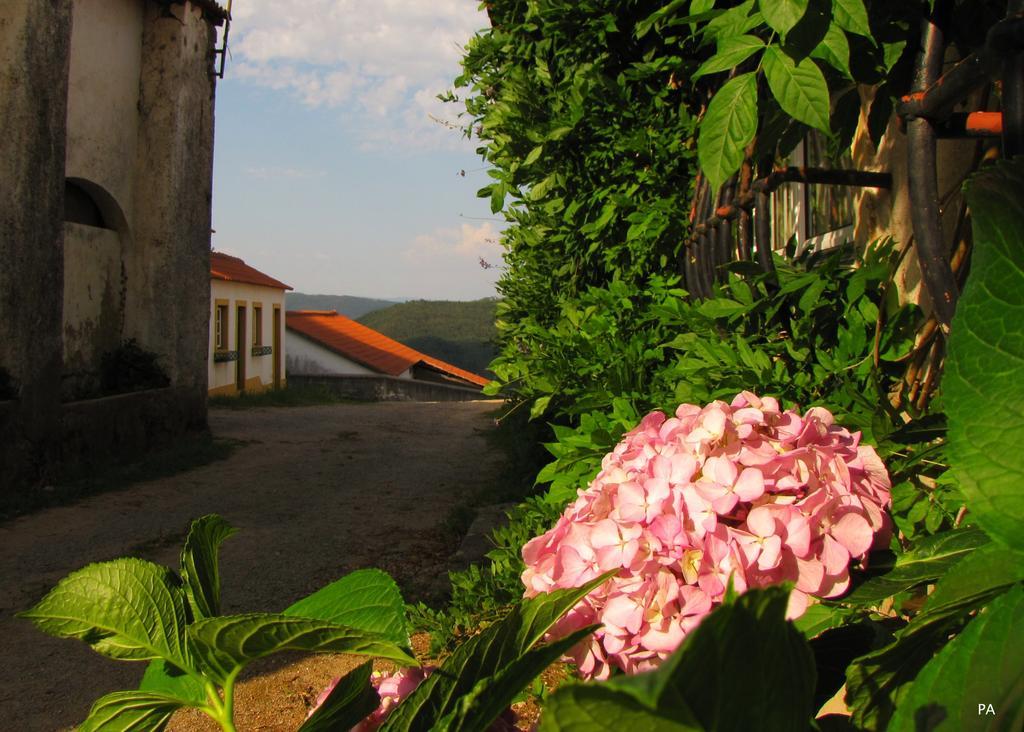 Quinta Do Cerquito Villa Ferreira do Zezere Bagian luar foto