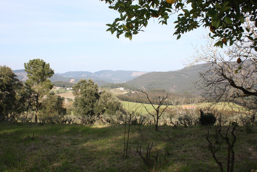 Quinta Do Cerquito Villa Ferreira do Zezere Bagian luar foto