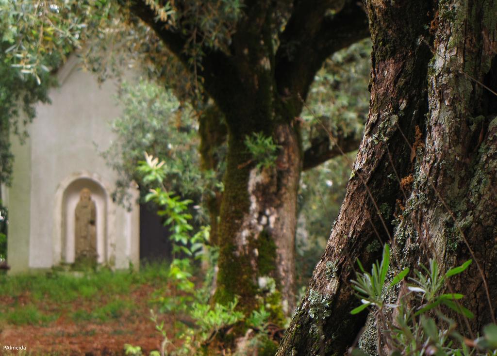 Quinta Do Cerquito Villa Ferreira do Zezere Bagian luar foto