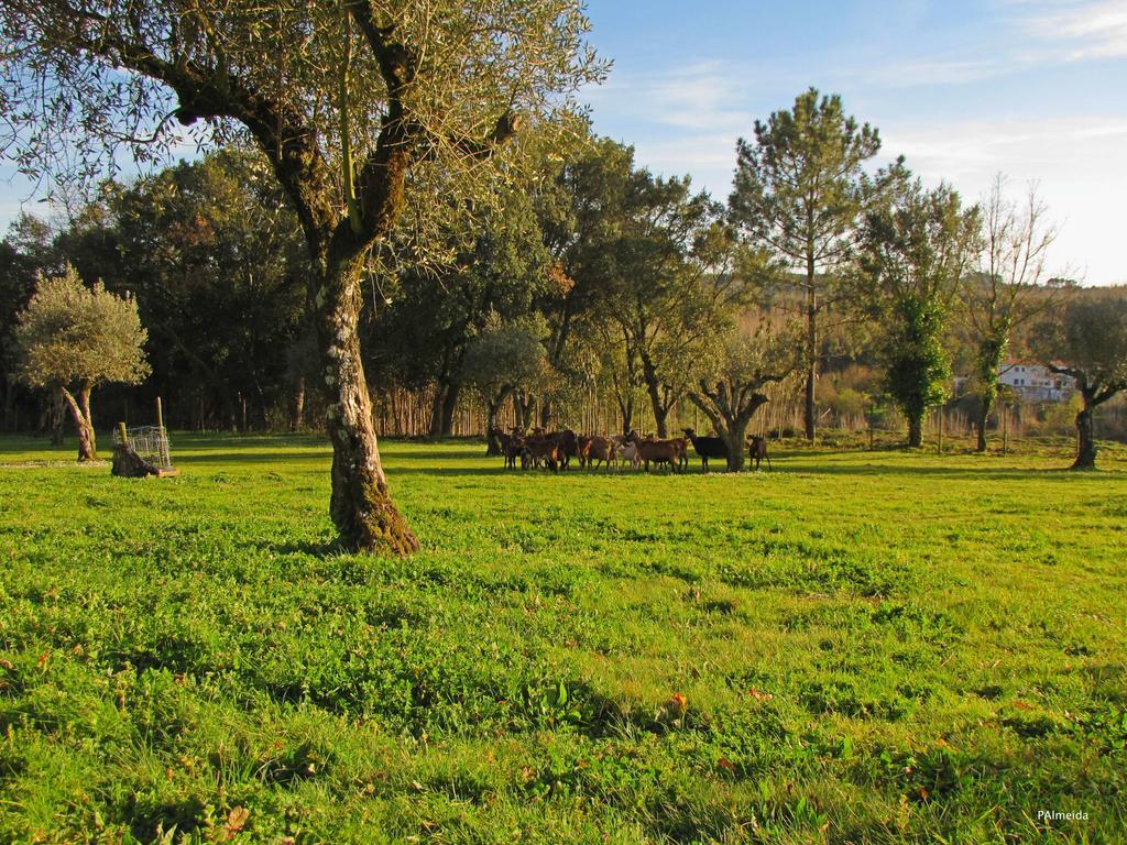 Quinta Do Cerquito Villa Ferreira do Zezere Bagian luar foto